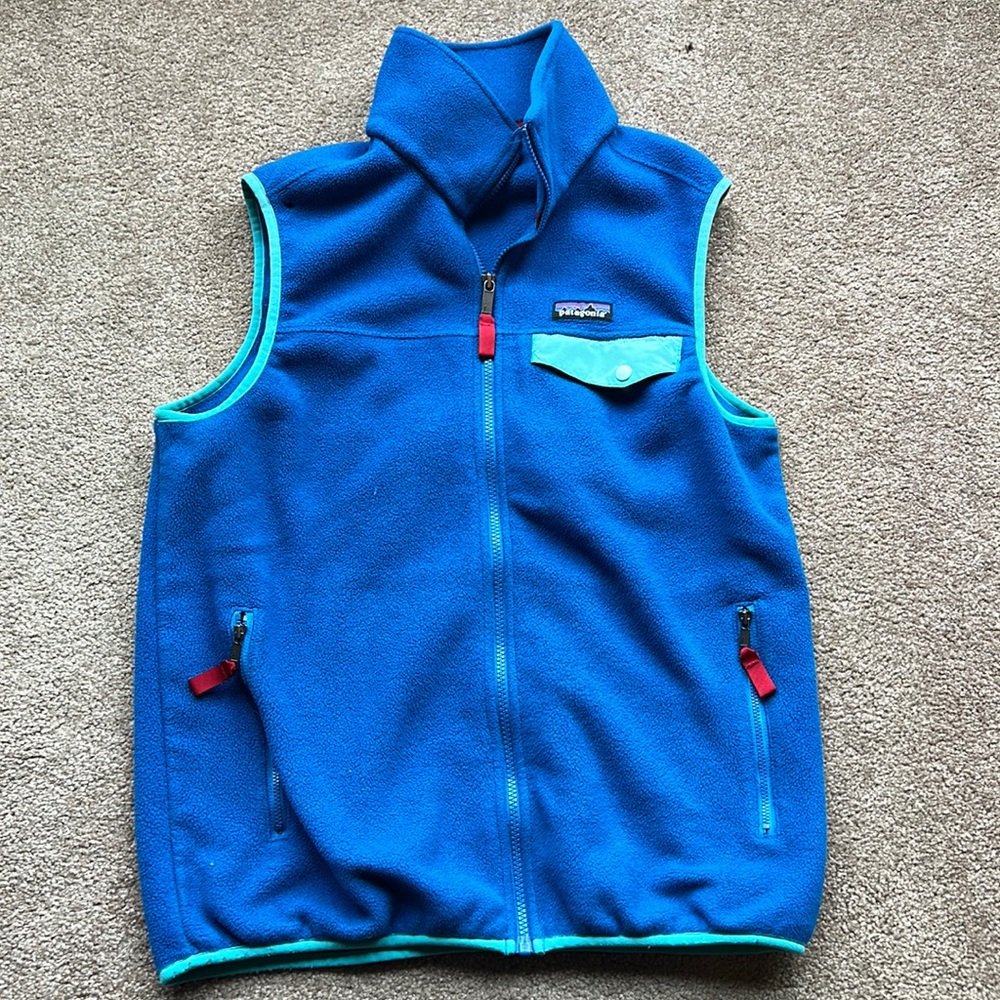 Patagonia blue lightweight snap t vest